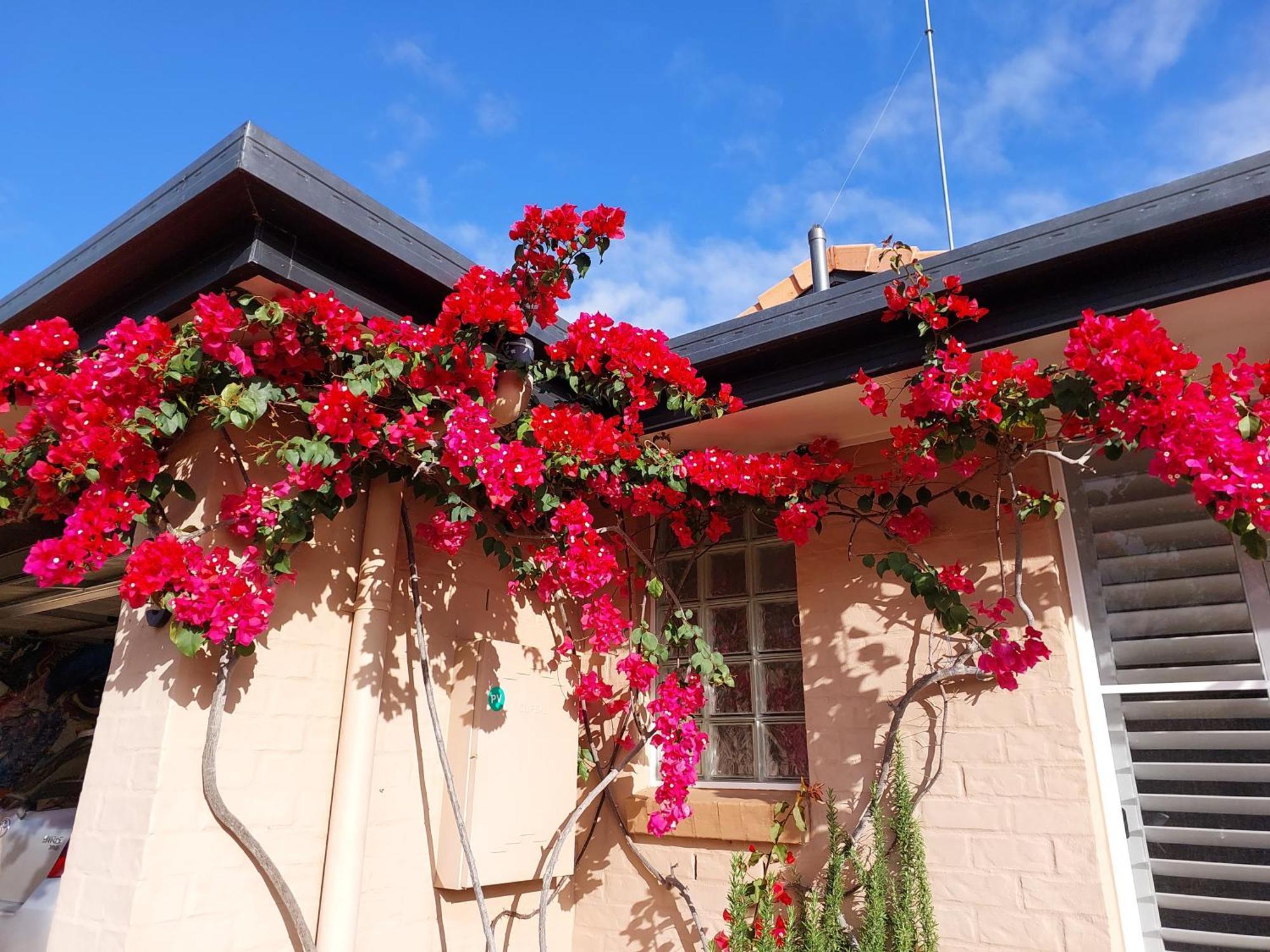 נוסוויל Summerhouses מראה חיצוני תמונה